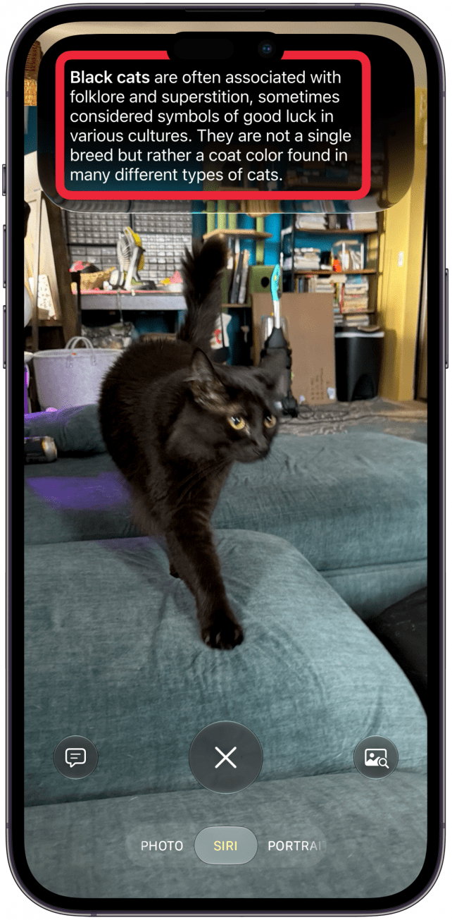 Once you take the photo, Siri will offer some information about the image.