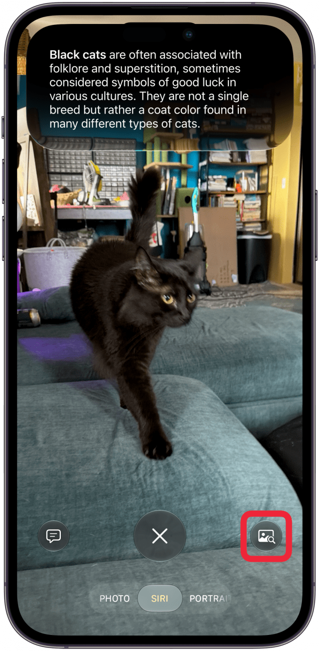 You can then use the image with a magnifying glass icon to see similar images.