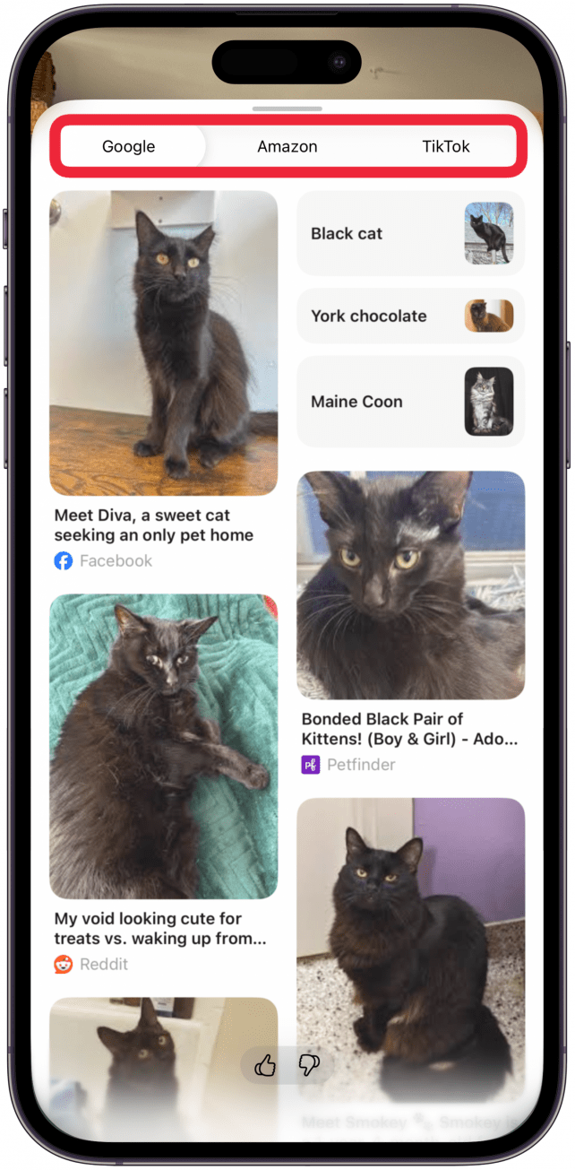 You can see select between searching it in either Google, Amazon, or TikTok.