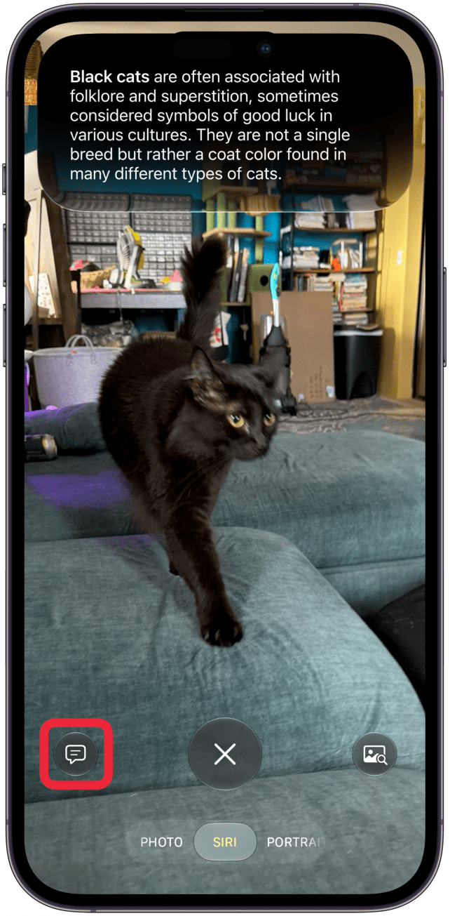 To start a conversation with Siri about the image, tap the text icon in the bottom left corner.