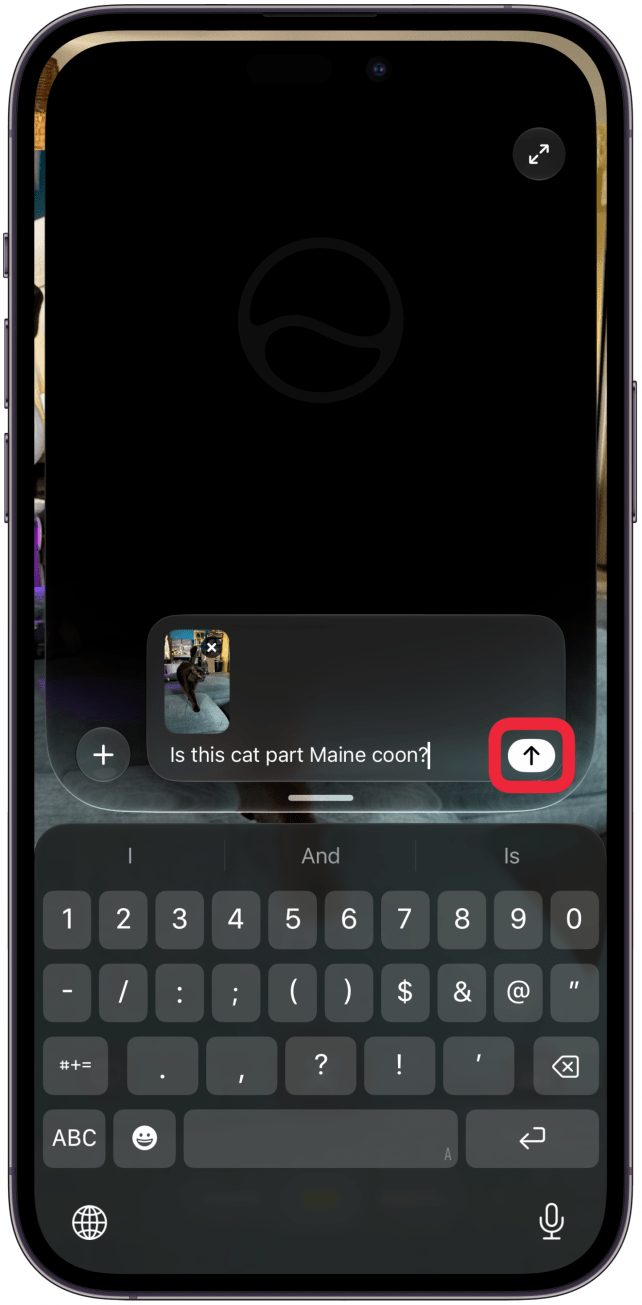 Here you can type a question or write a prompt. If you prefer to speak to Siri, just tap the microphone icon and use your voice instead. Tap the arrow up icon to submit the prompt.