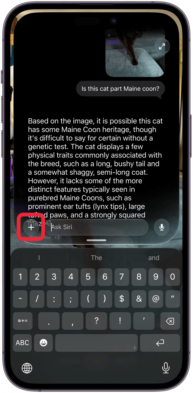 You can keep asking followup questions or you can tap the plus icon to take a new image from the Camera app or access something from the Photos or Files apps.