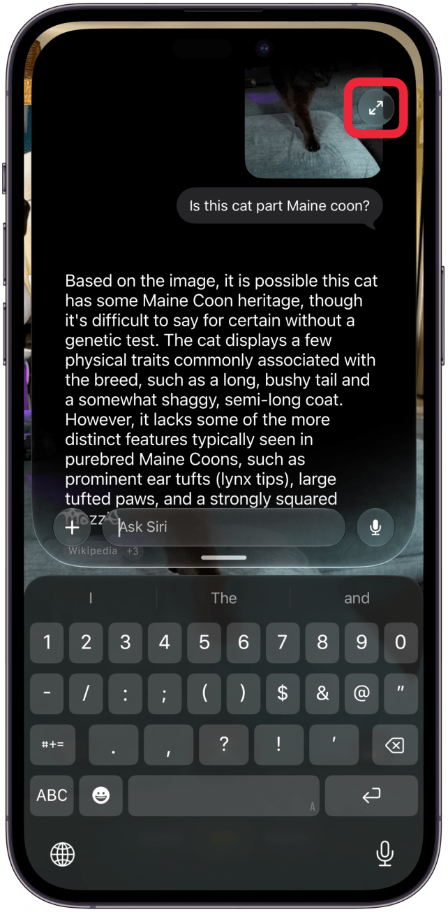 If you tap the icon with two arrows in the top right corner, you will return to the image you took in the Siri app.