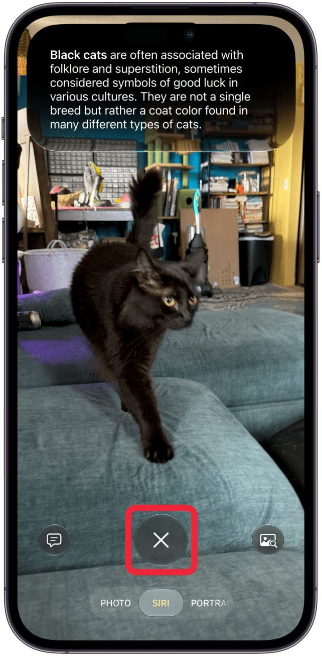 Here you can tap on the X to take a new image or to navigate to a different camera mode.
