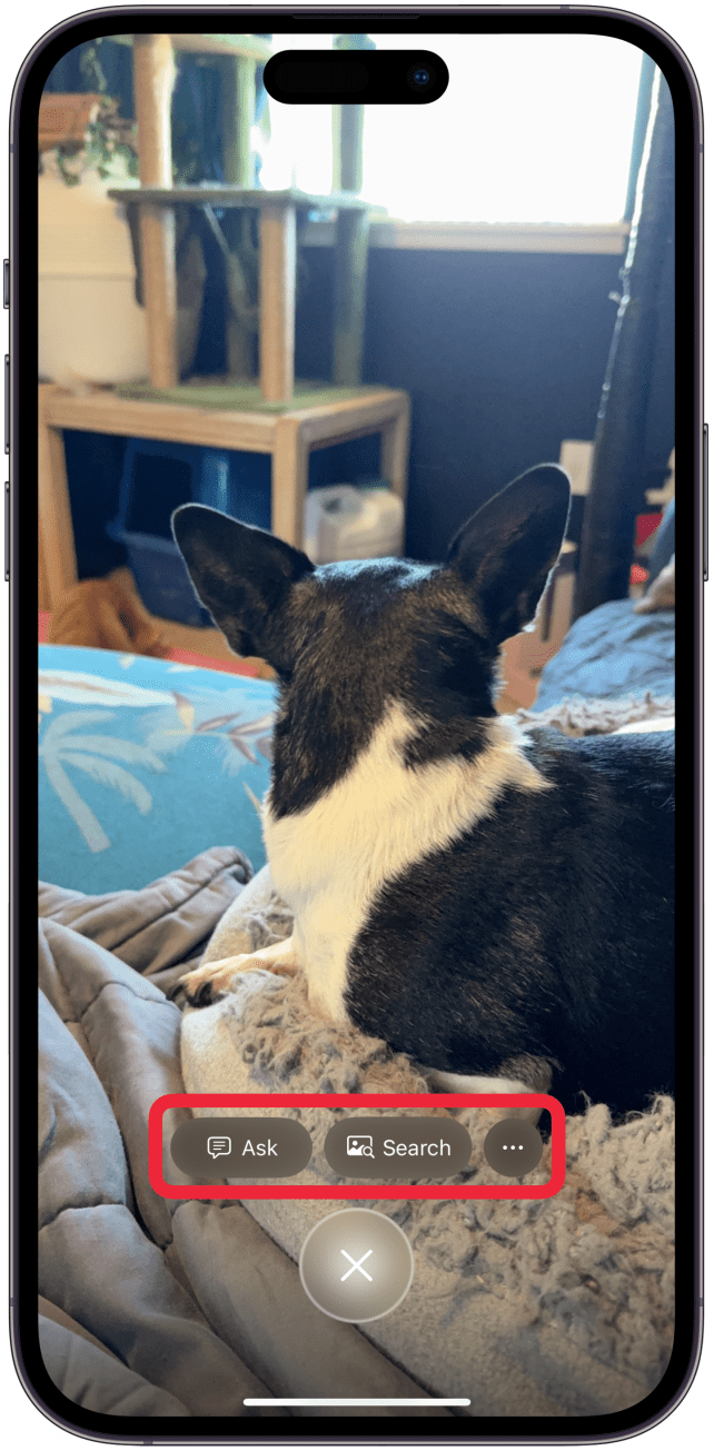 Depending on what you photograph, you’ll see some different options.