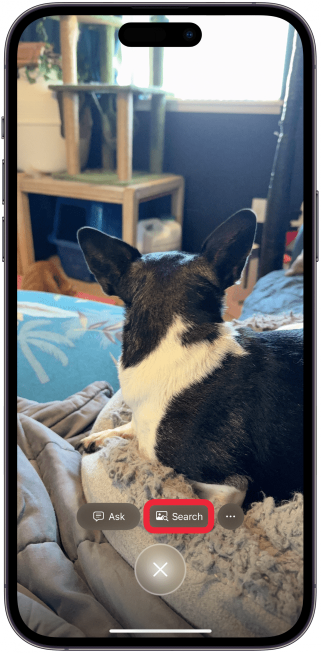 Tap Search to search for it in Google.