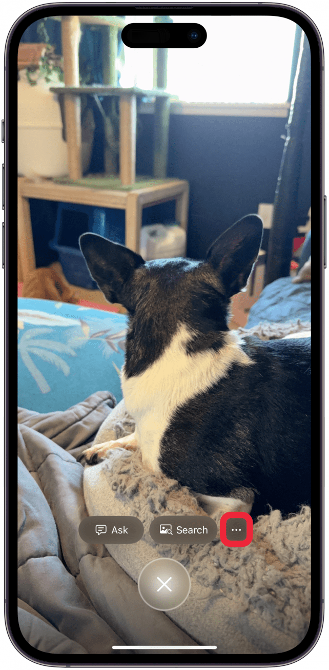 Sometimes there will be a More button (three dots). Tap it.