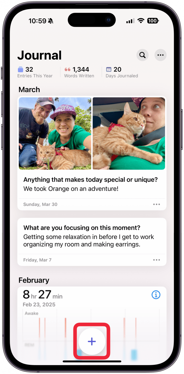 To begin a new entry, tap the Plus button.