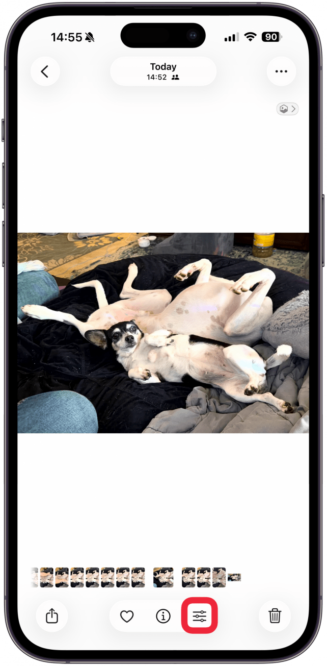 Open an image in the Photos that you wish to magnify a part of and tap the Adjust icon at the bottom of your screen.