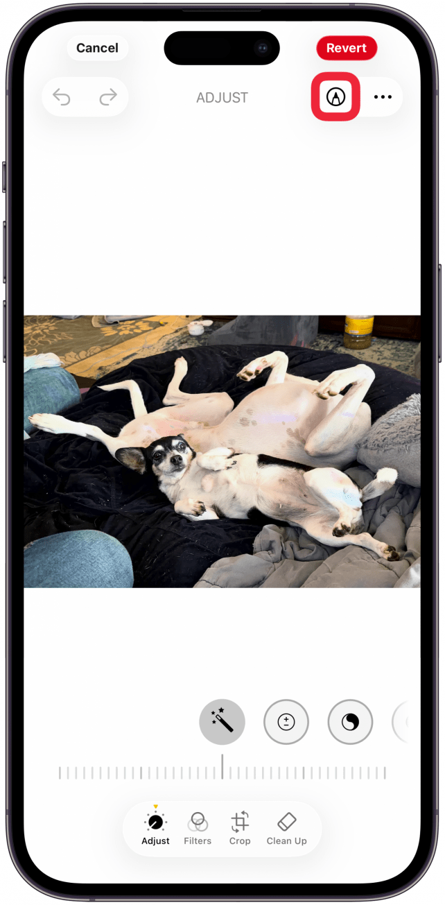 Tap the Markup icon on the top right.