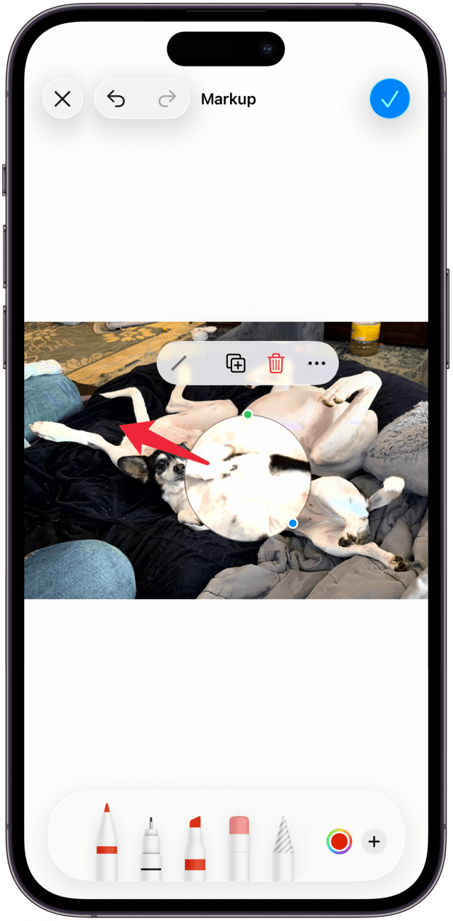 Move the circle to the area you wish to magnify.