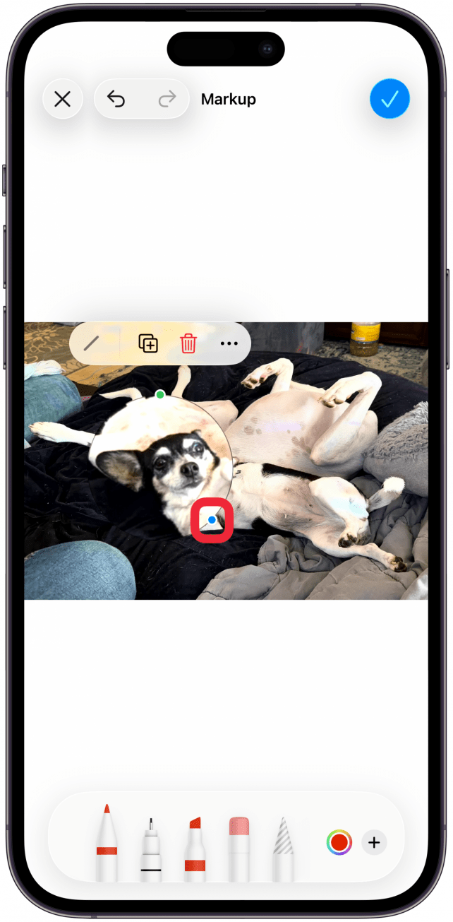 Drag the blue dot on the circle to make the magnifier bigger or smaller.