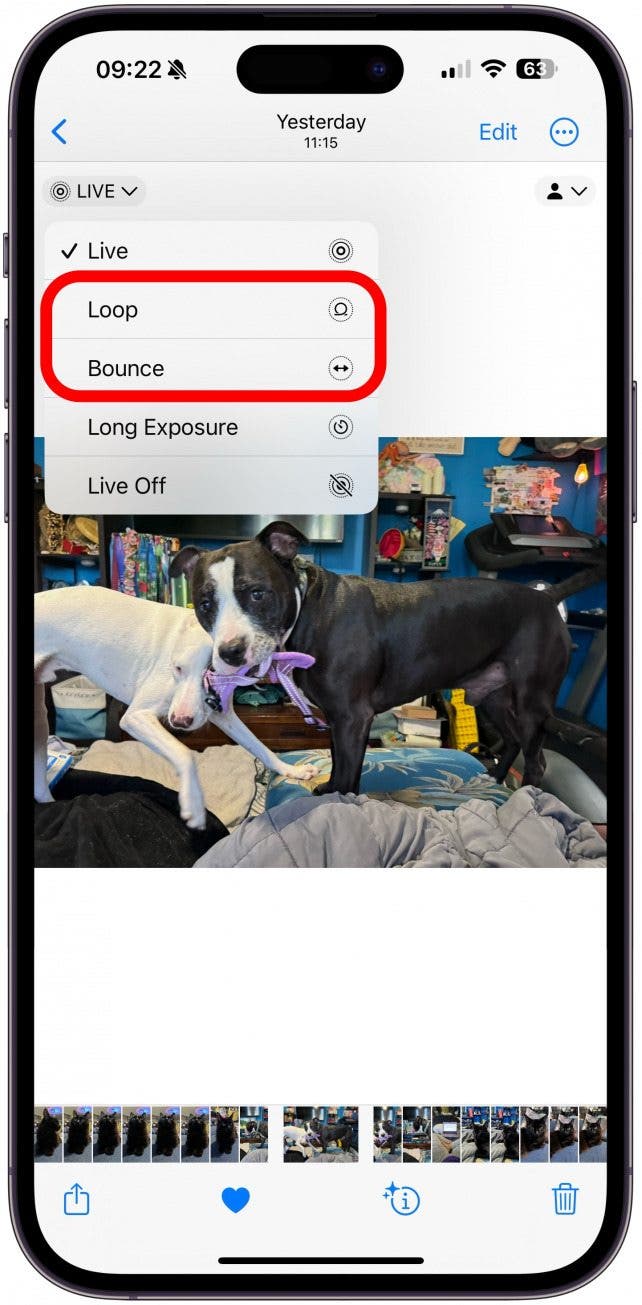 You’ll see Live Photo with a check by it, then Loop, Bounce, and Long Exposure.