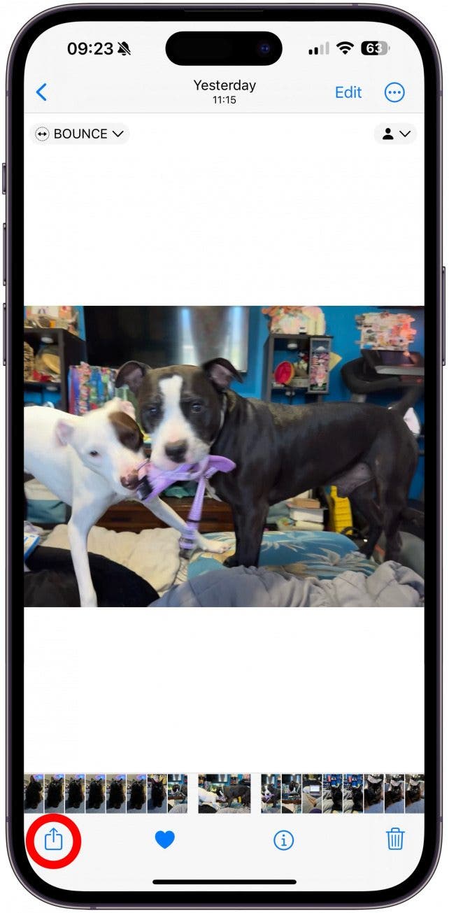 Tap on Loop or Bounce to select the animation style you prefer.