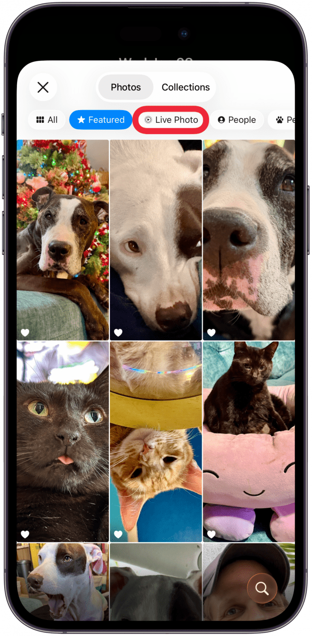 Tap Live Photo to filter for them.