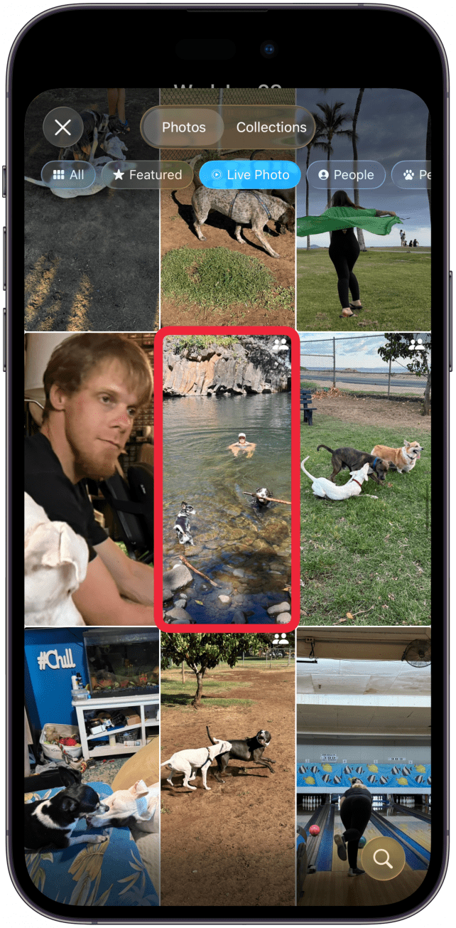 Tap the photo you want to use.