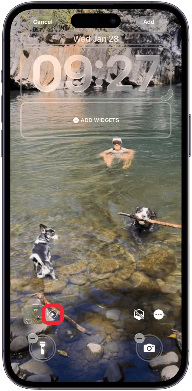 Make sure the Live button is turned on. It will show a play button when it's activated.