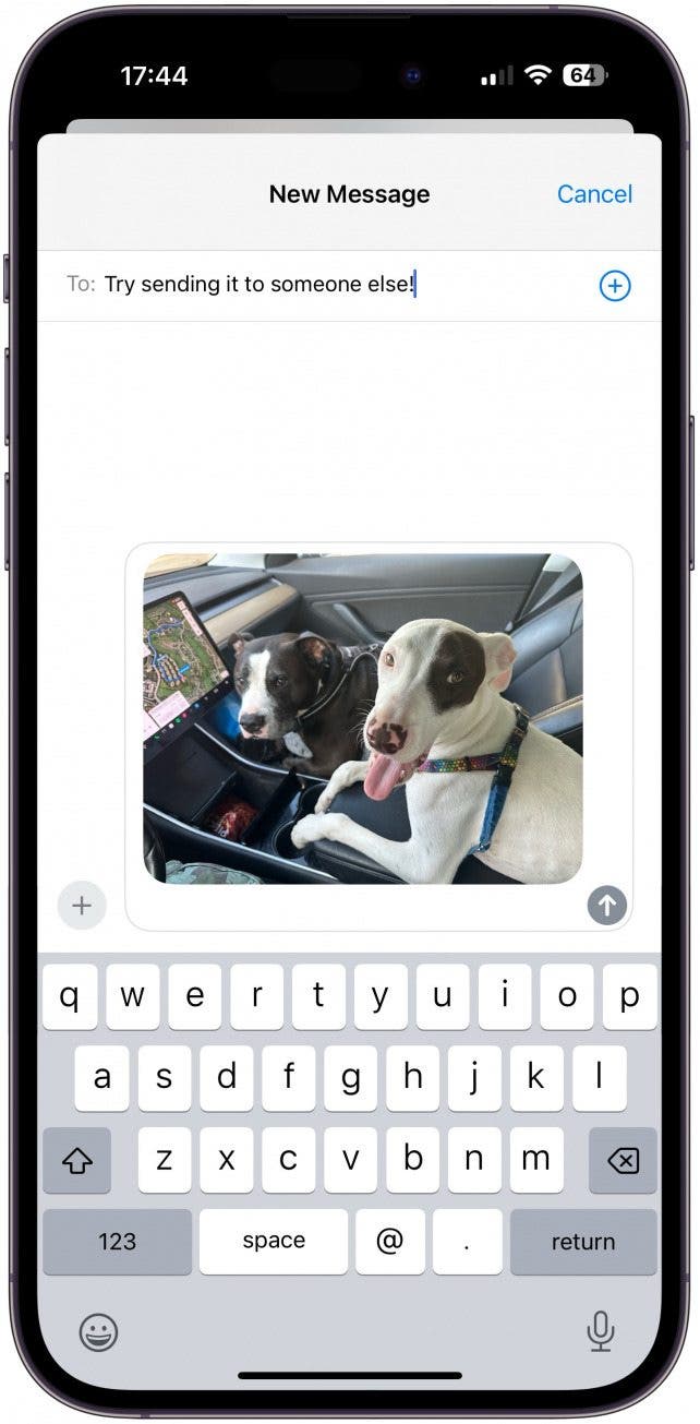 1. If your iPhone won't send pictures, try sending them to another contact.