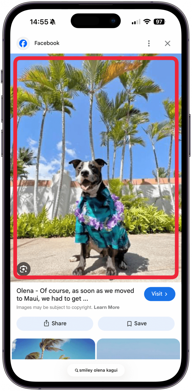 Navigate to an image or photo in Safari that has a clear subject and long-press the photo until a menu pops up.