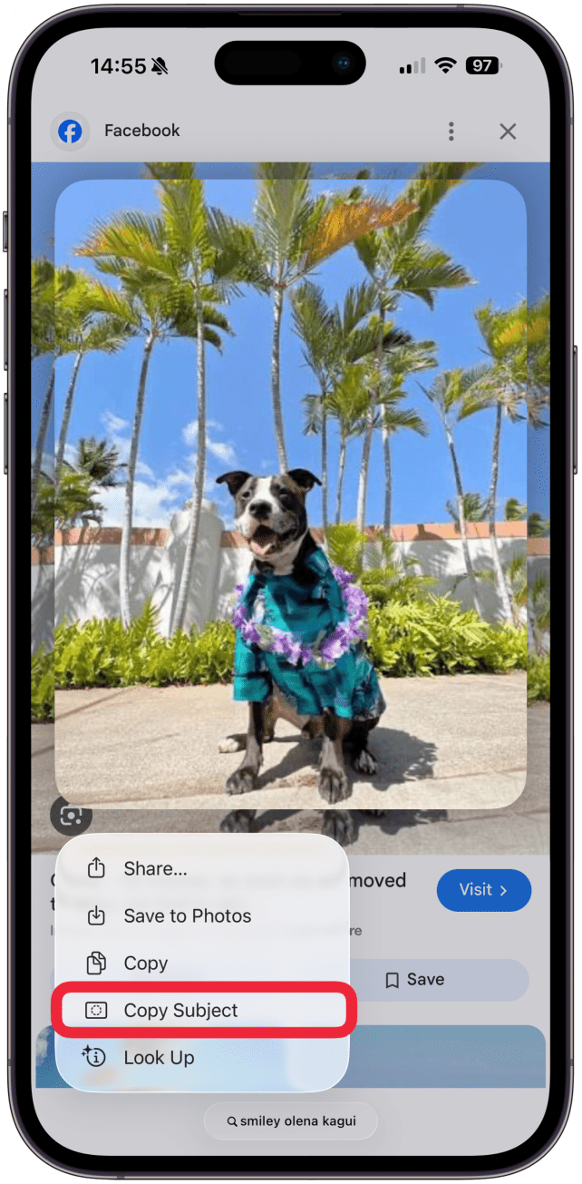 Tap Copy Subject. The menu will disappear once the subject is copied without confirmation.