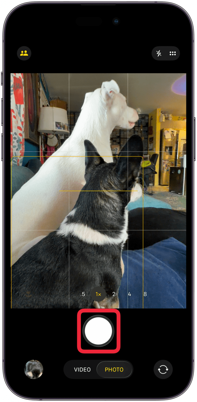 In Photo mode, press and hold the Shutter button; your iPhone will begin video recording.