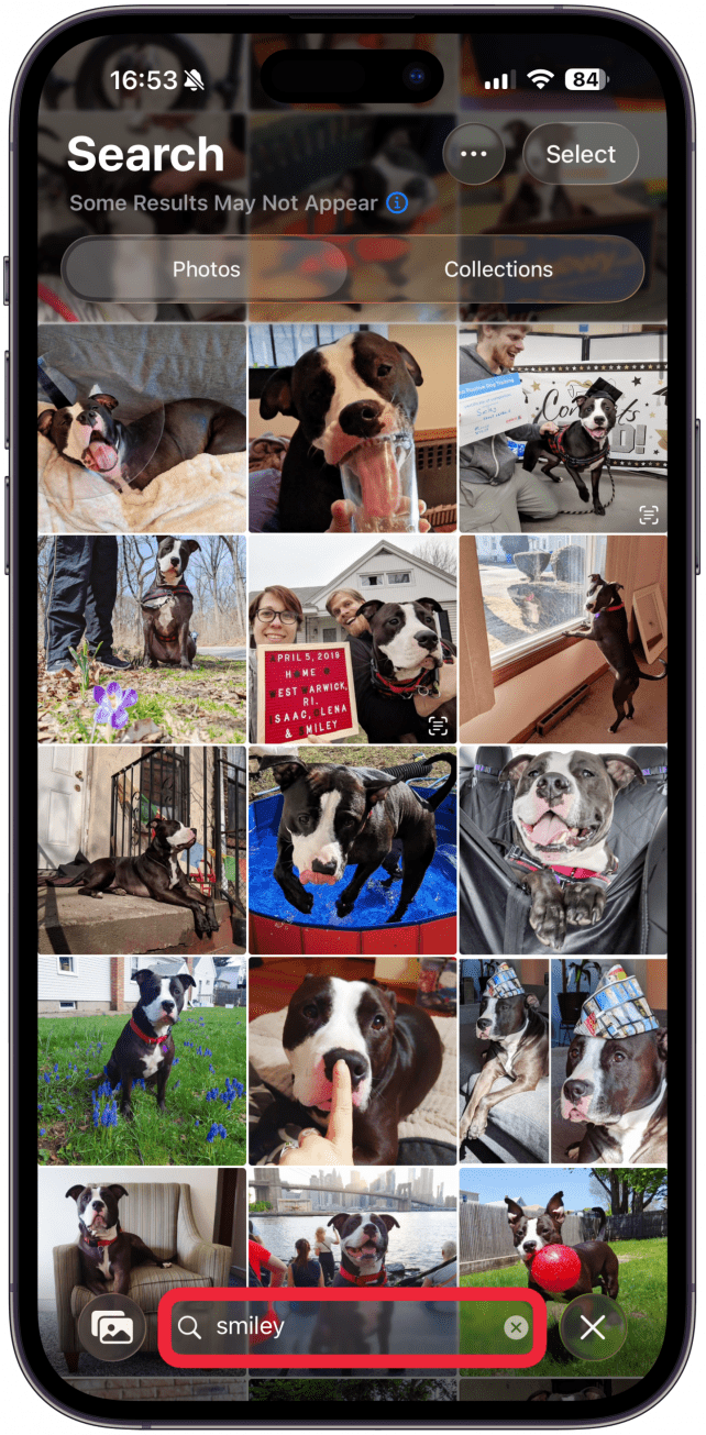 Here's what that looks like when you search within the Photos app via Spotlight search.