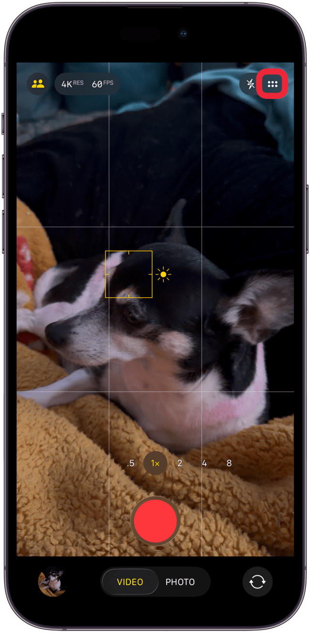 Tap the six dot rectangle in the top right corner.