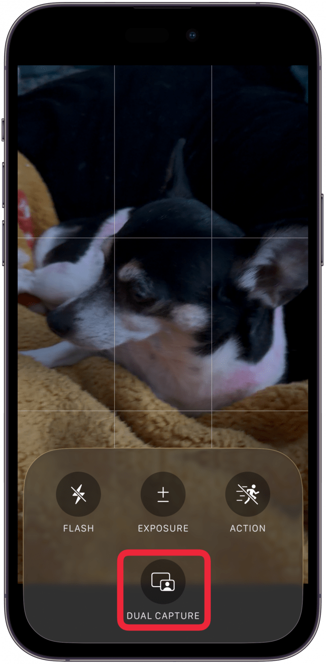 Select Dual Capture.