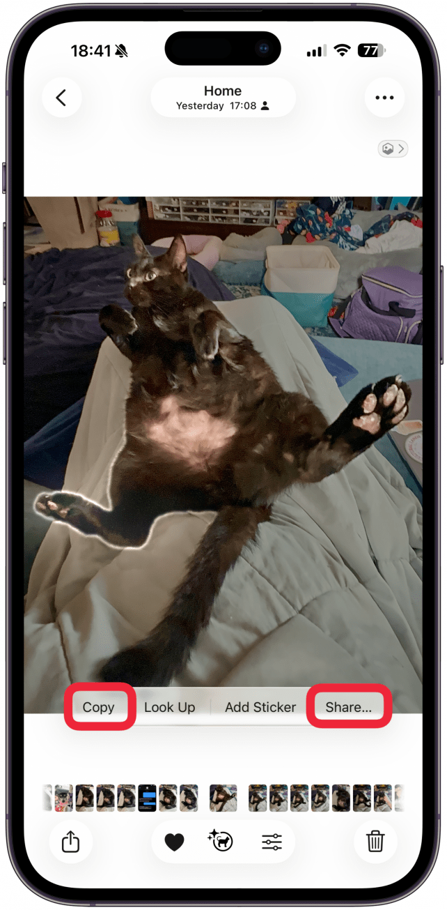 tap copy or share to use image with removed background