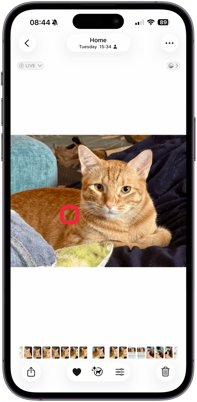 Then, tap and hold for a quick moment directly on the subject to bring up the menu. You will know the subject has been highlighted because there will be a silver line around the border of the subject.