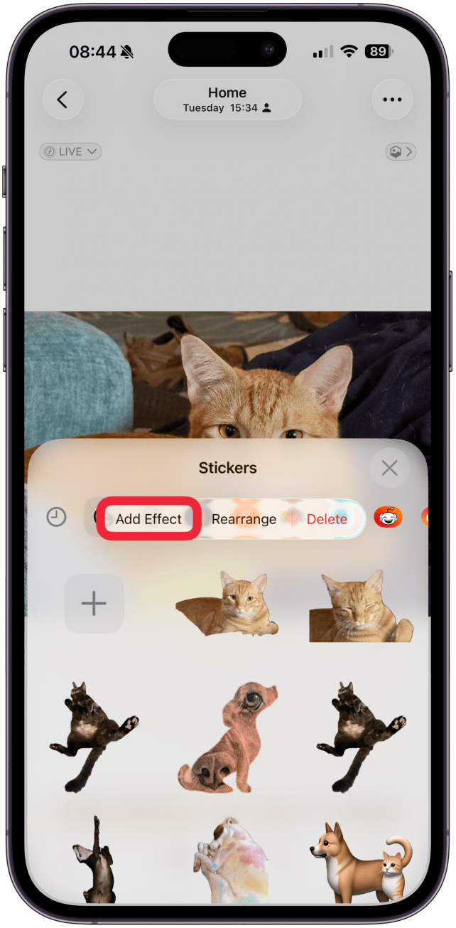 Next, if you want to add an effect, tap Add Effect.