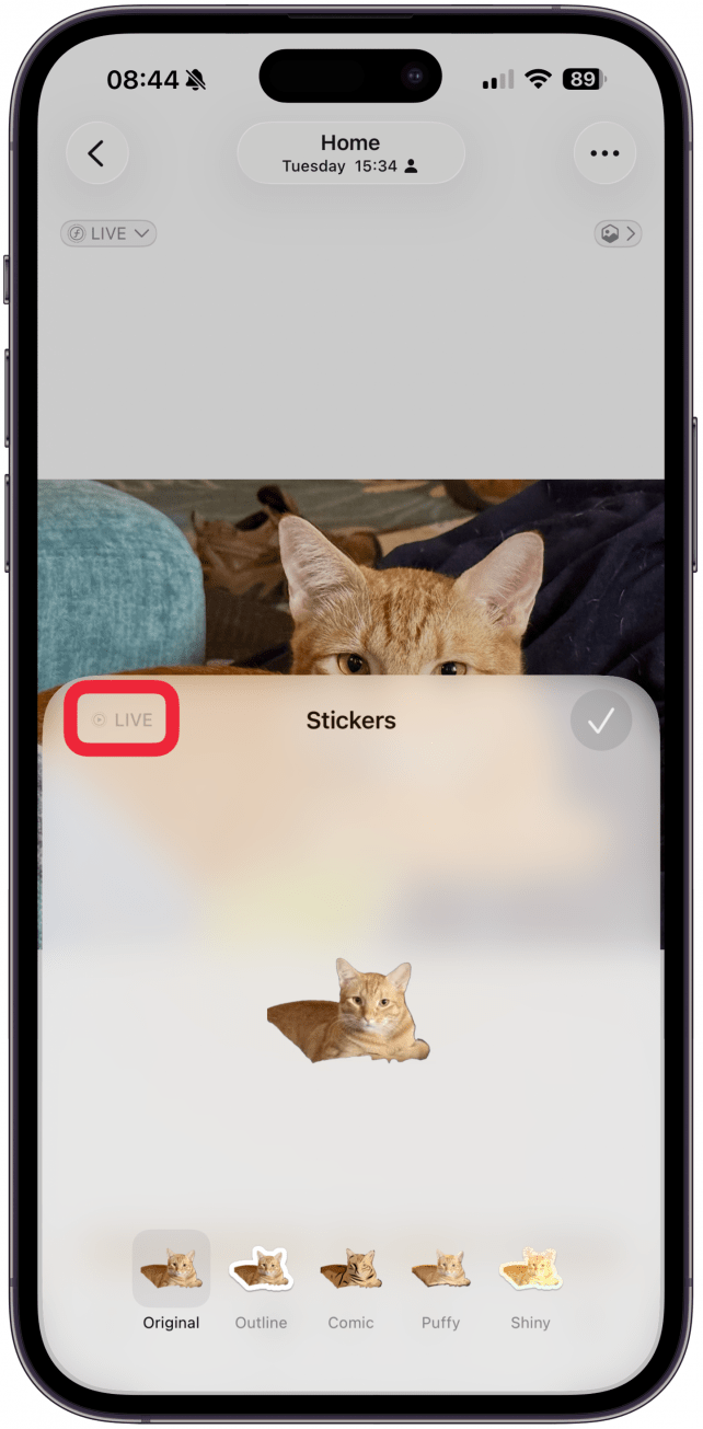 From here, you can choose the Original option. With the Original option, you can also tap Live in the corner as long the photo you chose was a Live Photo to animate your sticker.