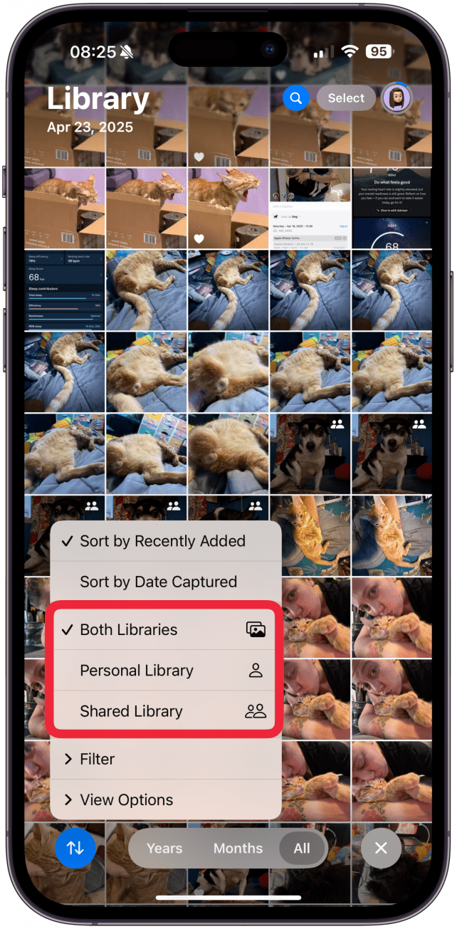 If you have a Shared Library, you'll have the option of viewing photos from Both Libraries, Personal Library Only, or Shared Library Only.
