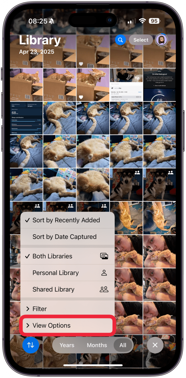 Finally, tap View Options.