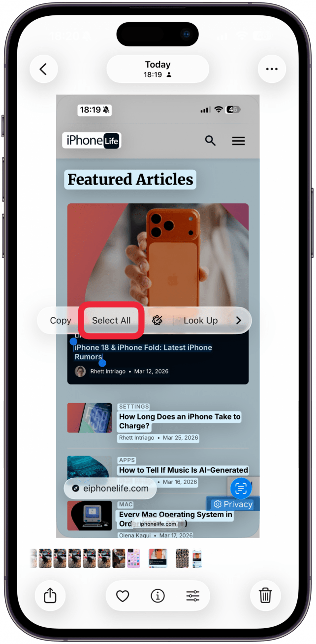 When you have the desired text highlighted, tap Copy.