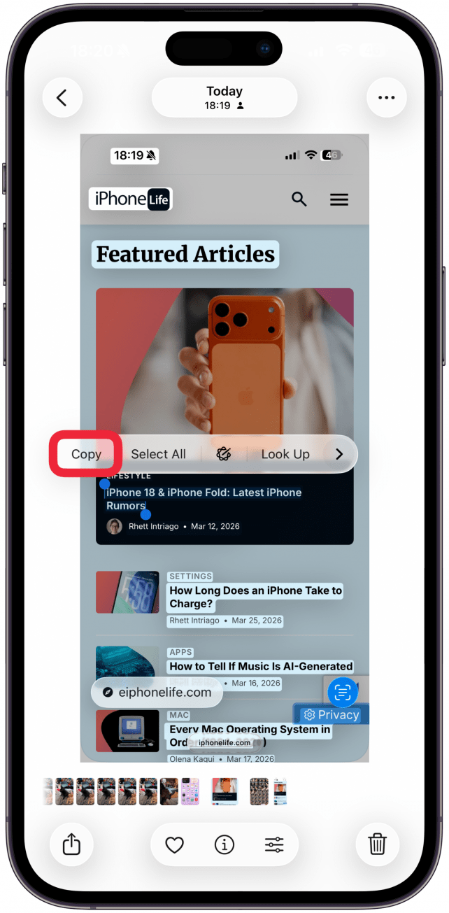 When you have the desired text highlighted, tap Copy.