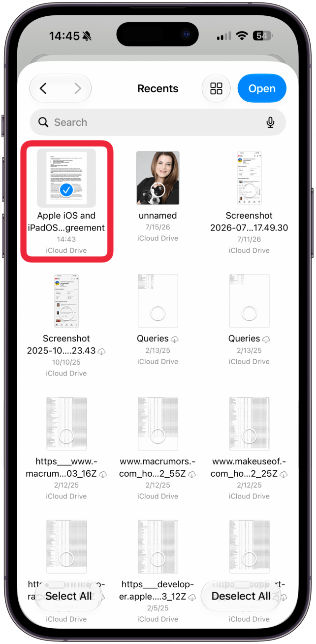 This will take you to the Files app. You can scroll or search for the file you want. Since I just saved it, it was at the very top of the list. Tap on it so that it has a blue check mark on it.