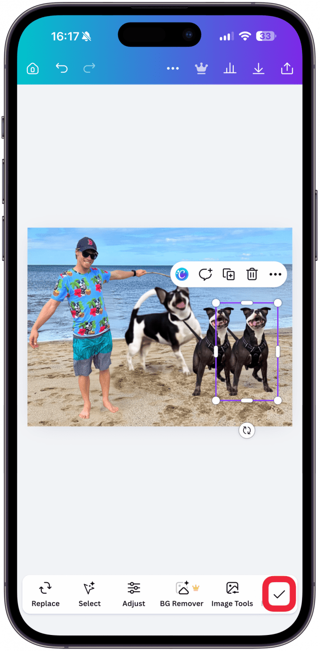 For this example, I deleted myself, moved my small dog Millie into the middle and made her much bigger, then cloned Smiley so that there's two of him in the image. If you still have a layer selected, tap the check mark in the bottom right corner.