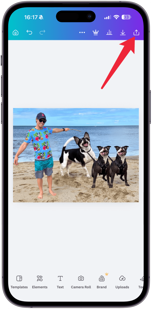 To save or share the photo, tap the share icon in the top right corner.