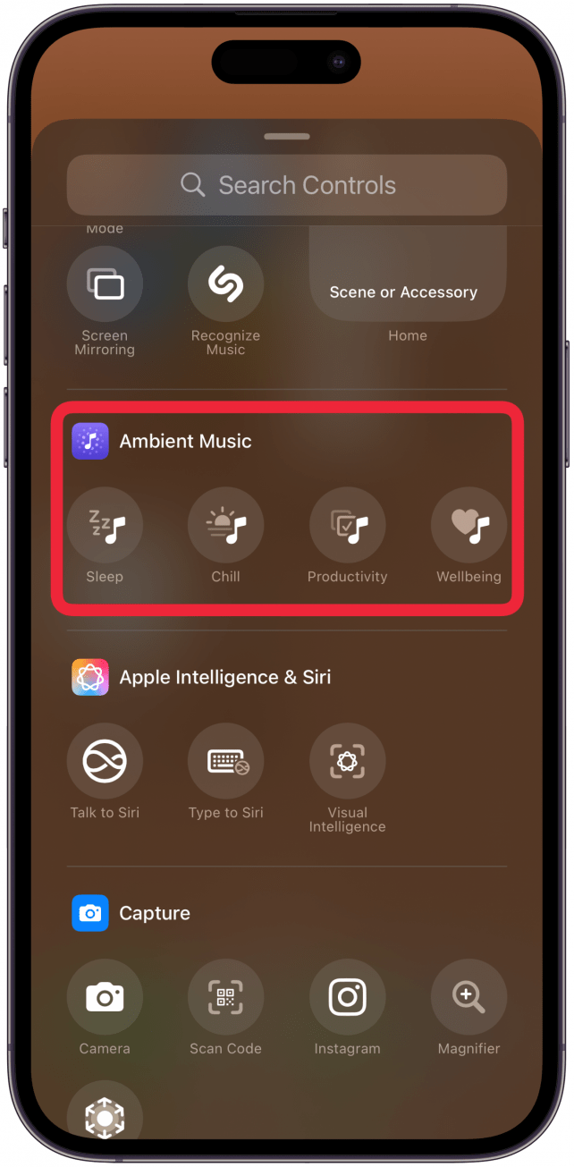 Scroll until you see (or search for) Ambient Music and select the theme you want to access in your Control Center.
