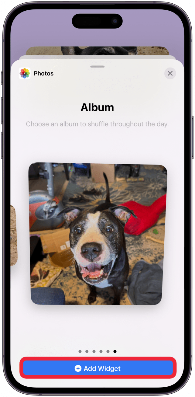 Scroll until you land on the correct size widget you wish to add to your Home Screen. Then tap Add Widget.