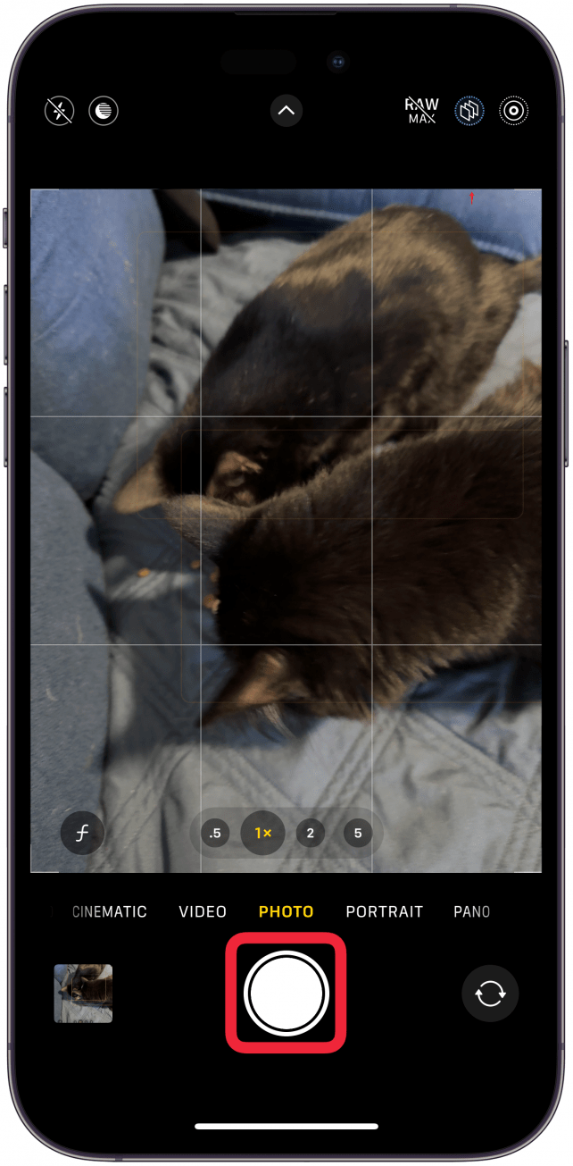7 Best iPhone Camera Shutter Button Tricks & Secrets