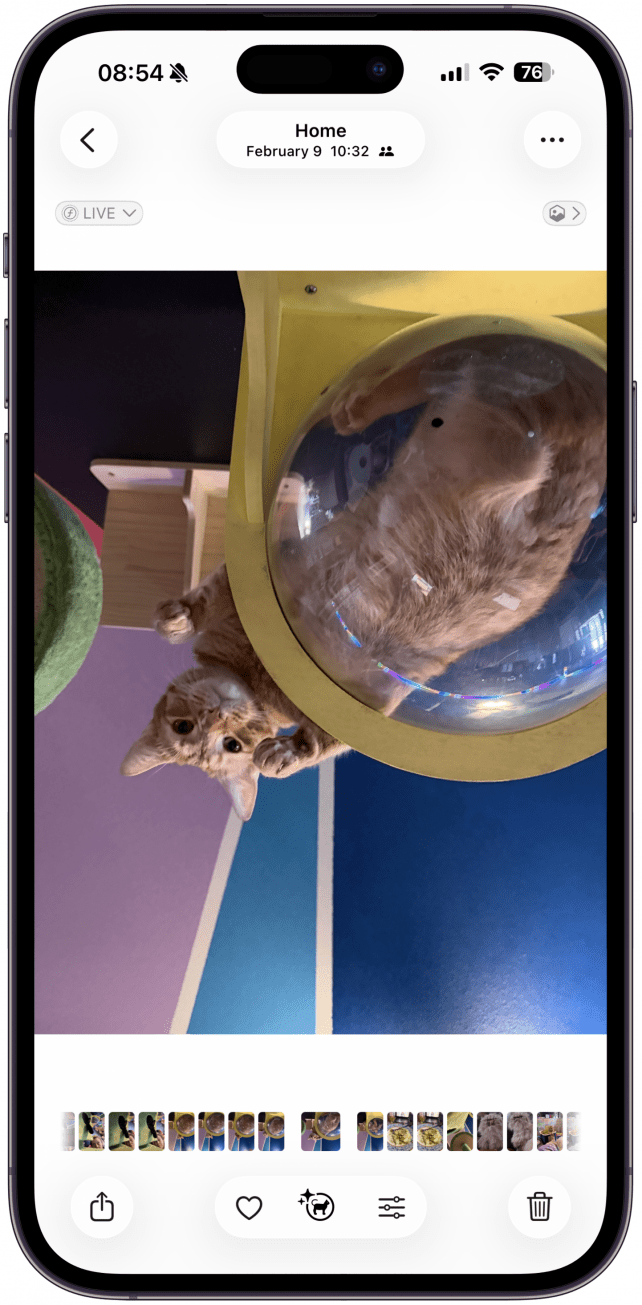 All of your edits will be deleted and you will see the original image without a confirmation step.