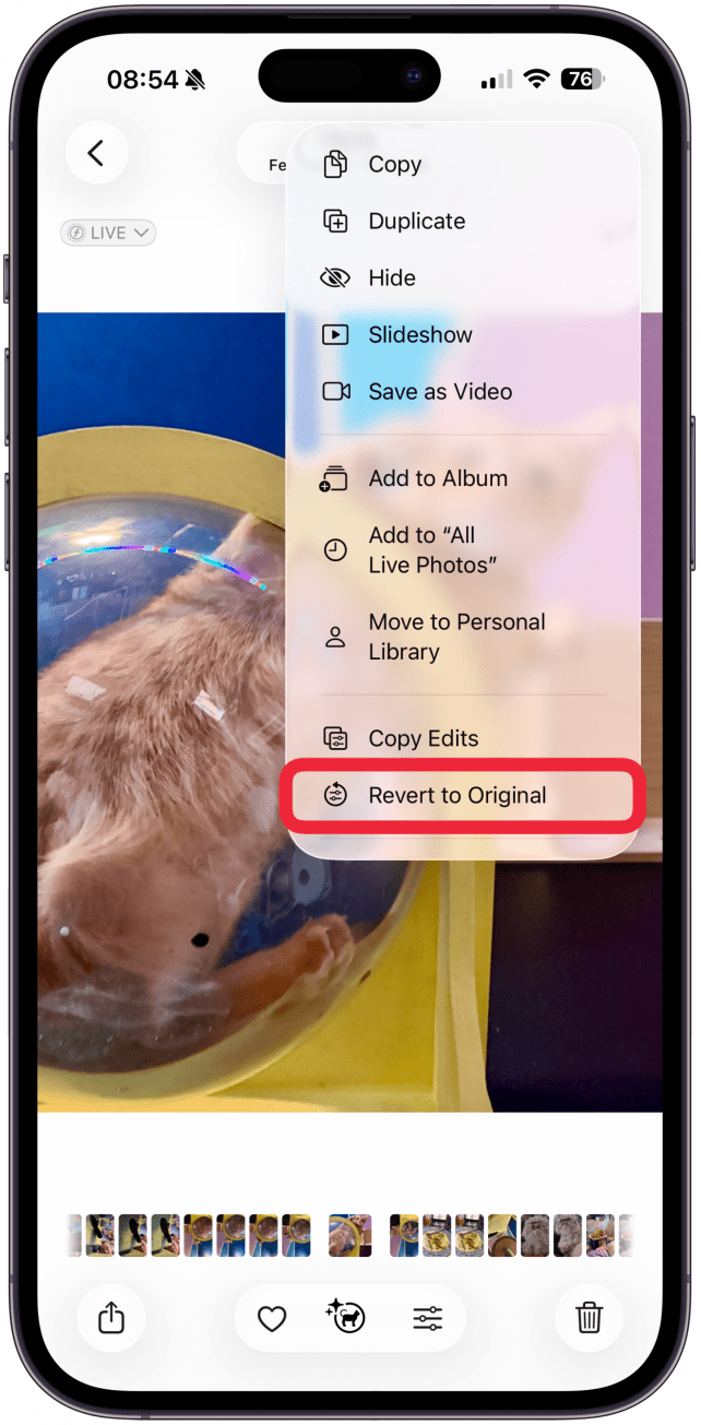 Tap Revert to Original.