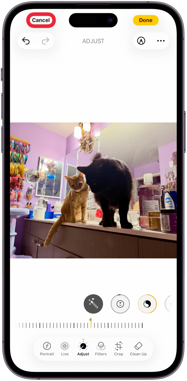 If you prefer the original version, tap Cancel to discard your edits. You'll have to confirm that you wish to cancel.