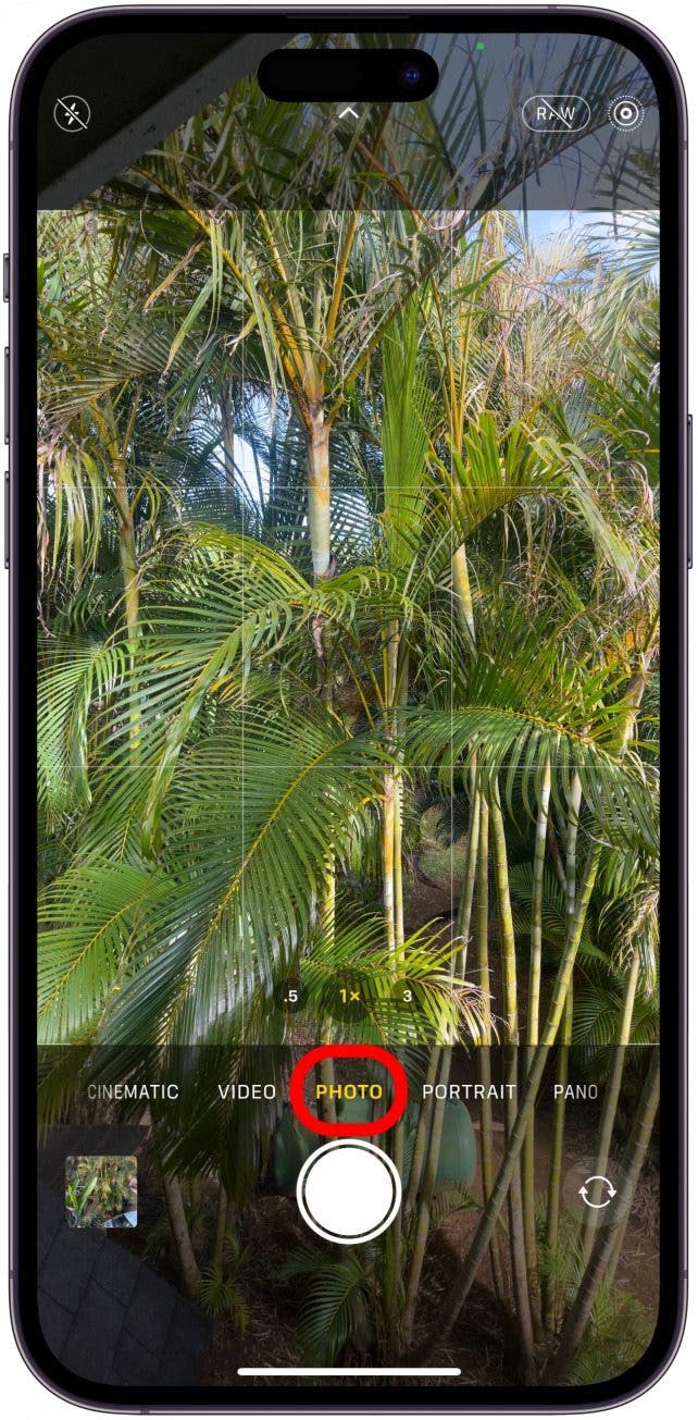 Siri will open the Camera app on your iPhone in photo mode on your back-facing camera. 