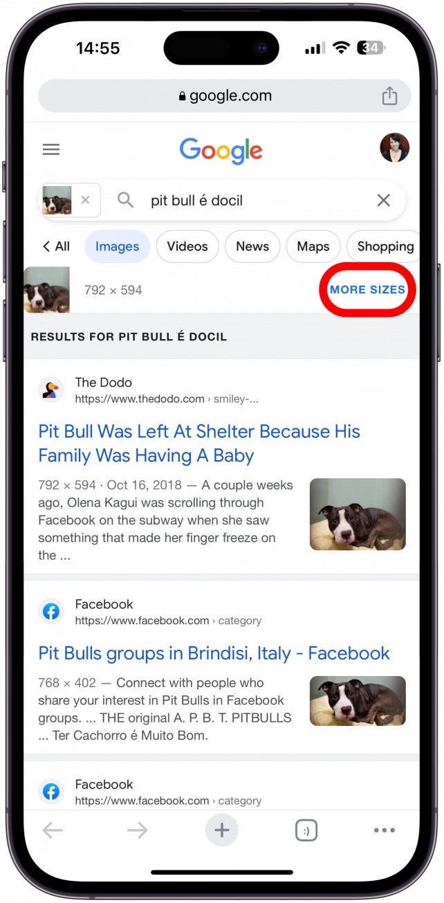 Иногда, нажав «Найти источник изображения» на шаге 12, вы увидите возможность увидеть опубликованное изображение в других размерах.