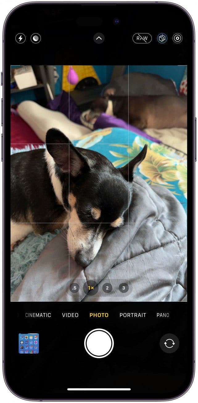 Say, "take a picture" once Siri is acticated. This will open the rear camera on your iPhone.