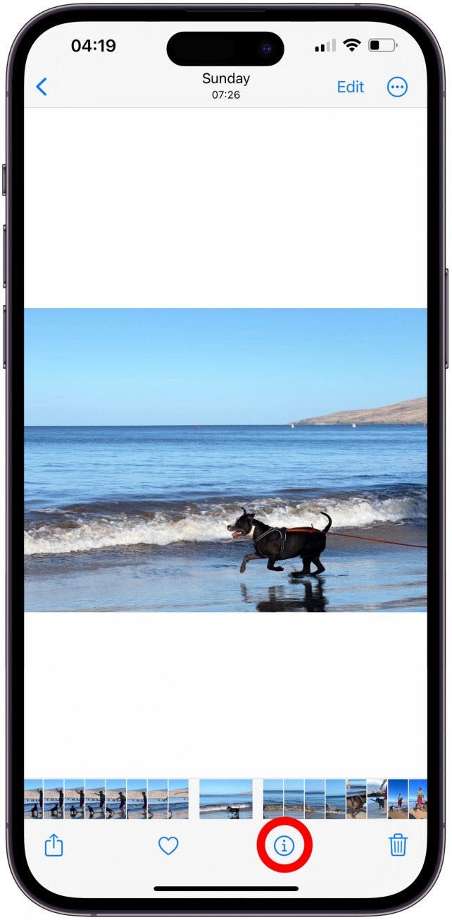 iPhone Camera Lens Guide When to Use Which Lens?
