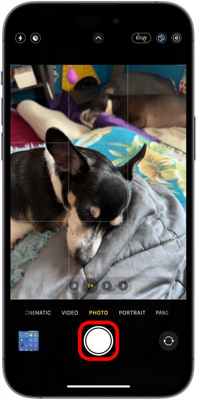 You will still need to tap the shutter button to take a photo.